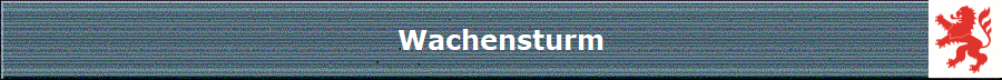 Wachensturm