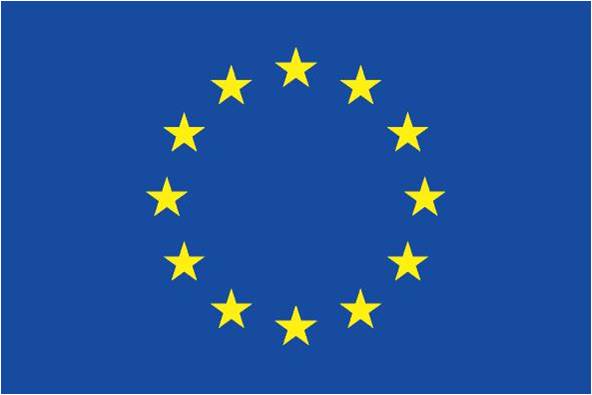 european_flag